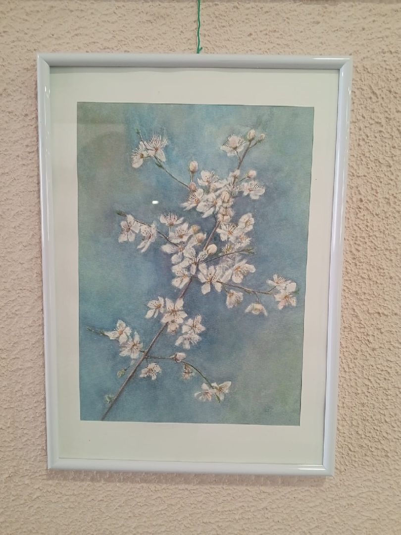 пушкинский округ, художественная выставка, дом культуры, художник любитель,картины,