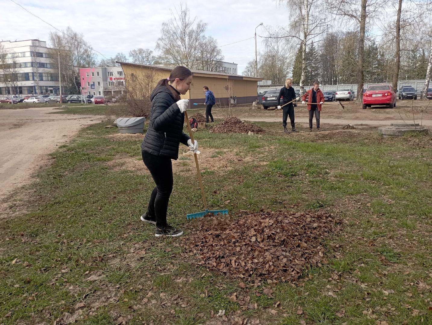 благоустройство, ДМЗ, субботник, Дубна