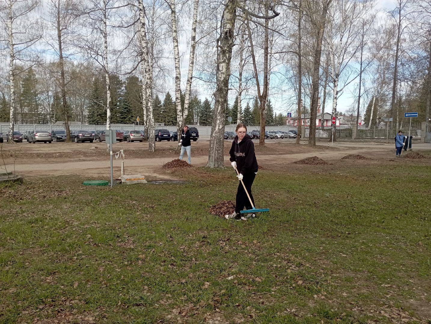 благоустройство, ДМЗ, субботник, Дубна