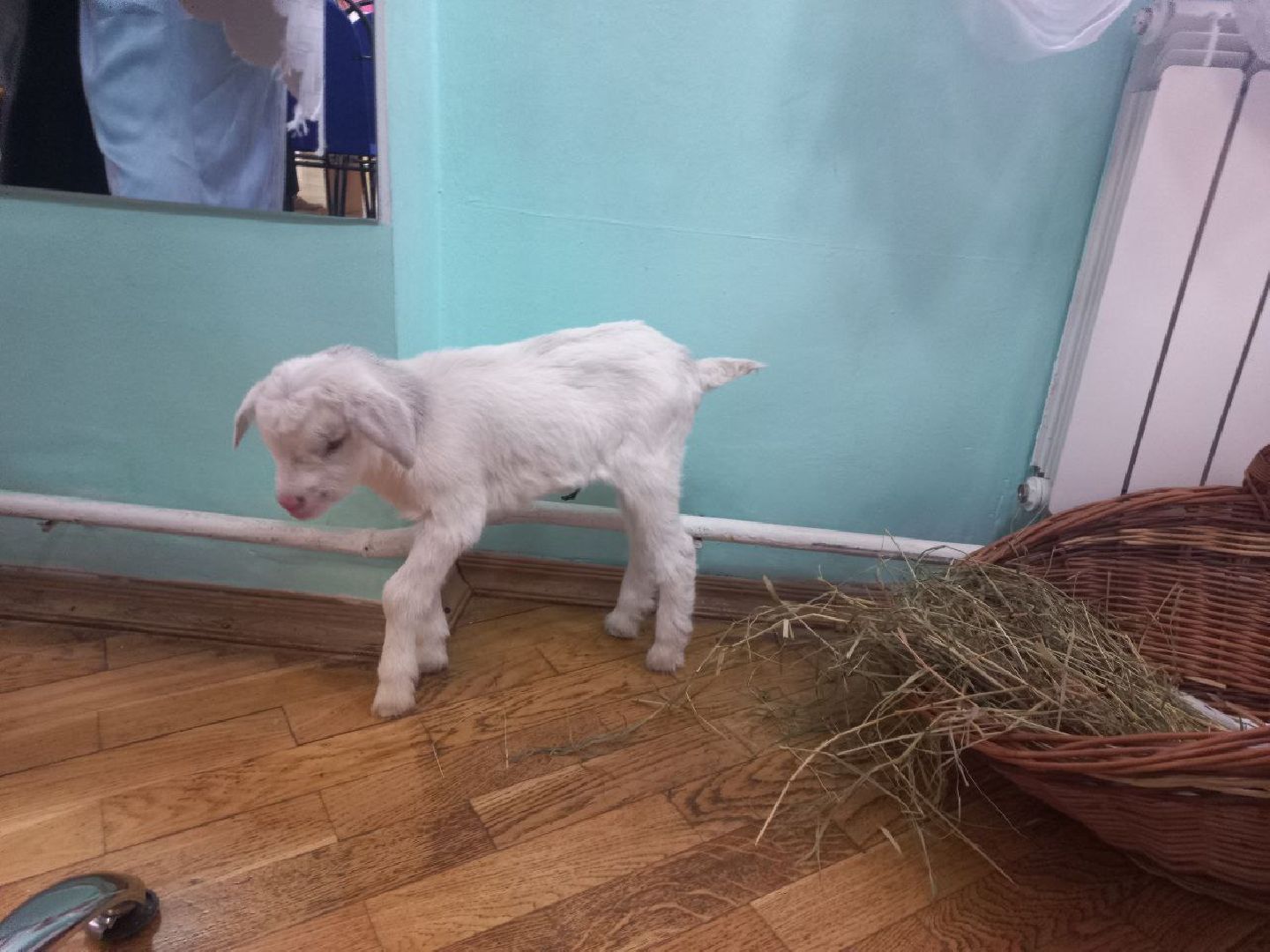 Сергиев посад, Деловая женщина, Успех деловой женщины, Конкурс,