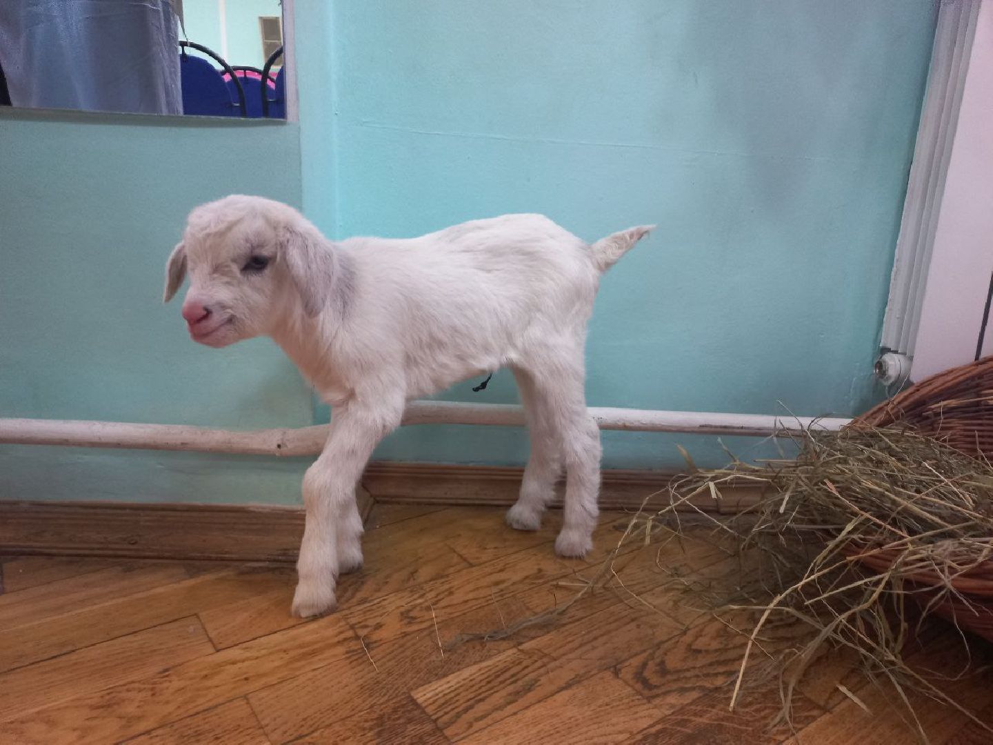 Сергиев посад, Деловая женщина, Успех деловой женщины, Конкурс,