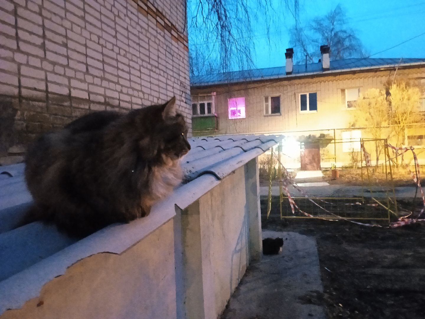 Коломна, коммунальная авария,