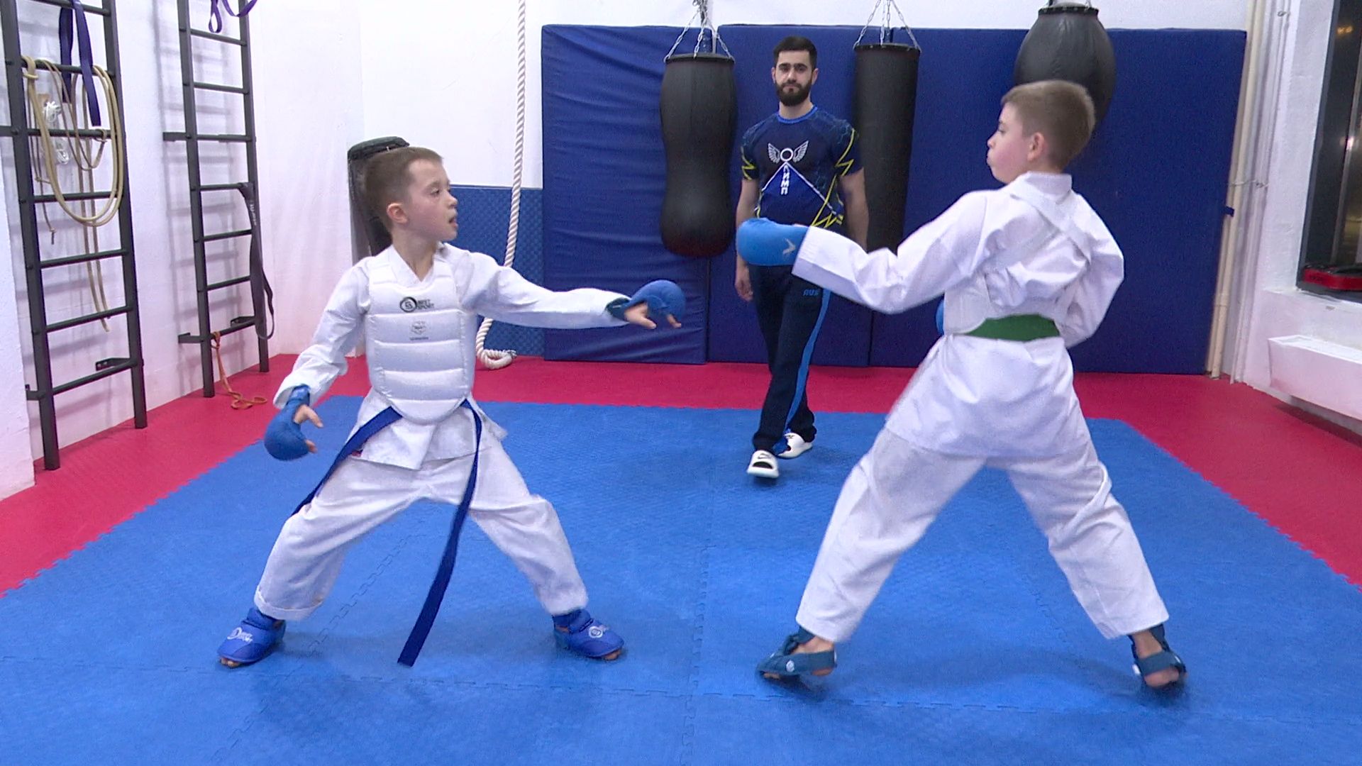 реутов, вертикалки, спорт, карате,