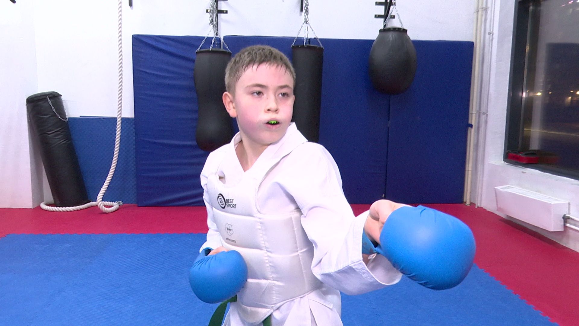 реутов, вертикалки, спорт, карате,