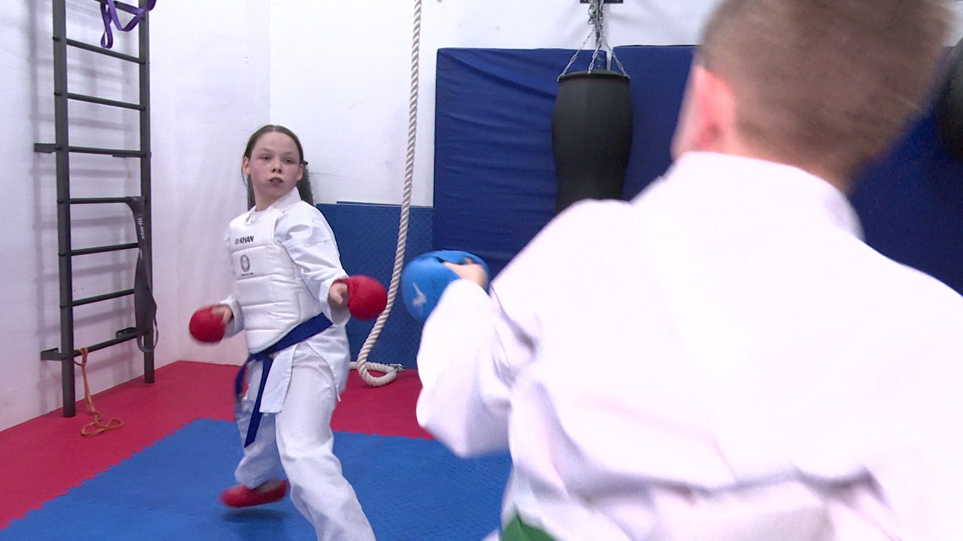 реутов, вертикалки, спорт, карате,