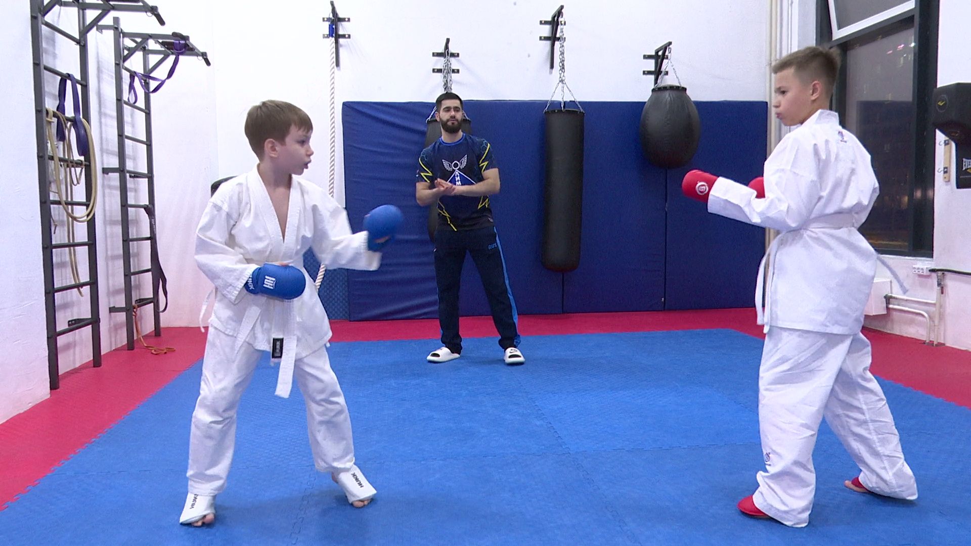 реутов, вертикалки, спорт, карате,