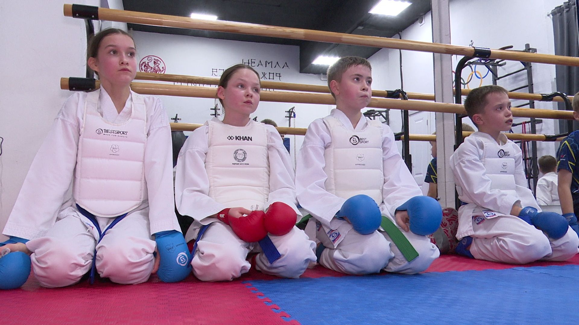 реутов, вертикалки, спорт, карате,