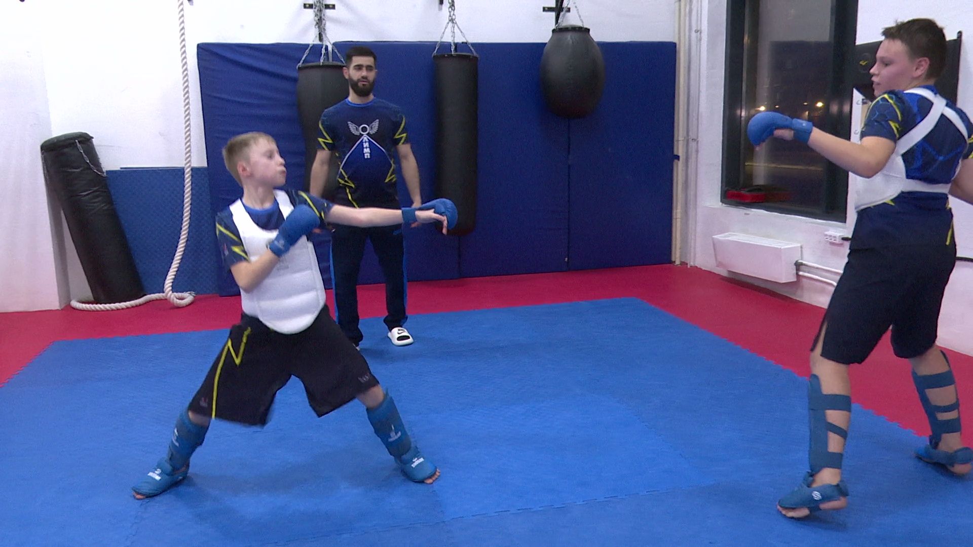 реутов, вертикалки, спорт, карате,