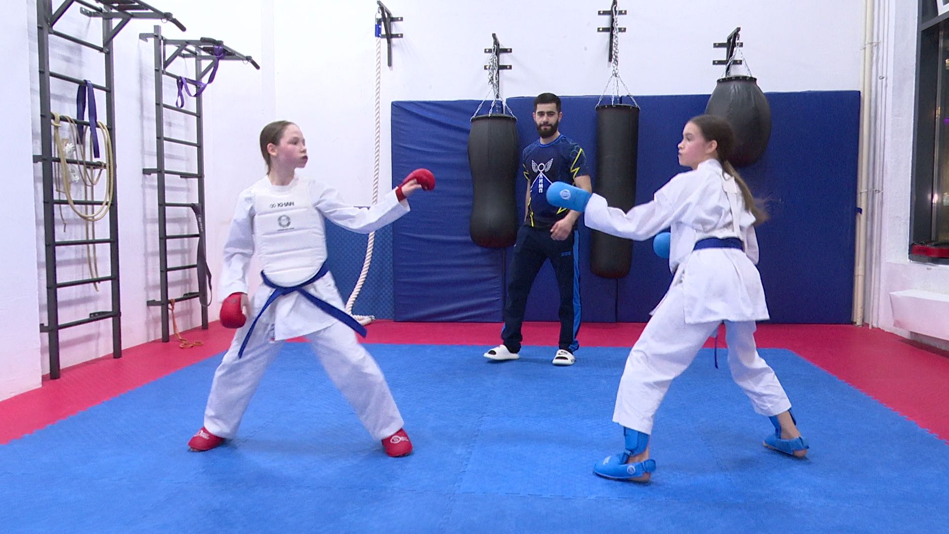 реутов, вертикалки, спорт, карате,