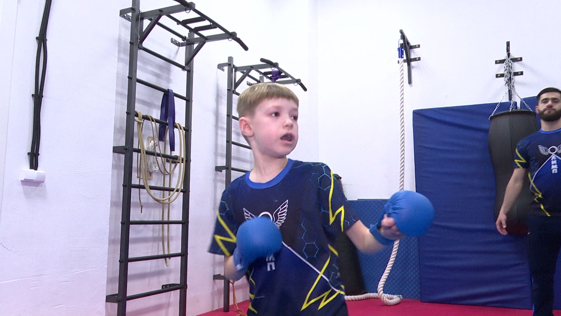 реутов, вертикалки, спорт, карате,