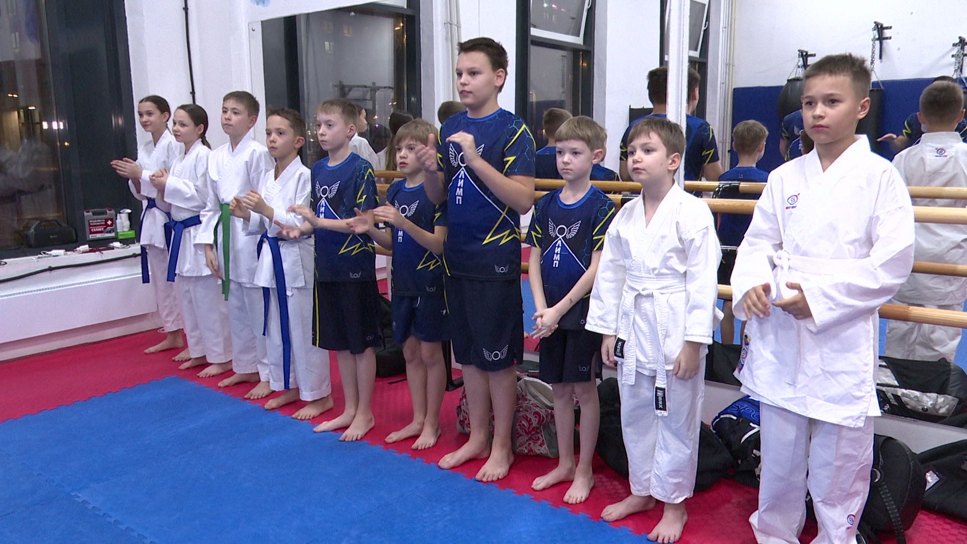 реутов, вертикалки, спорт, карате,