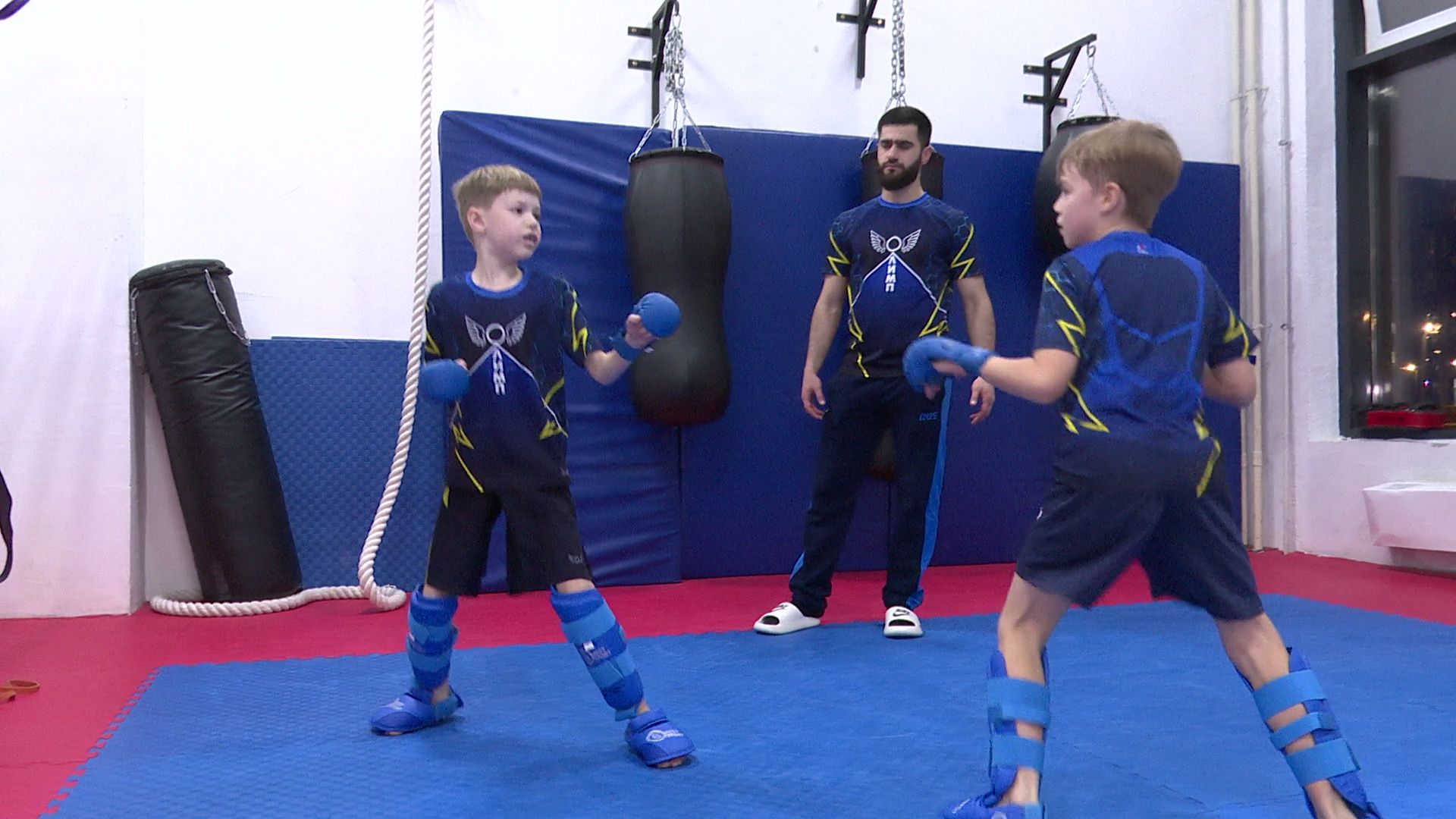 реутов, вертикалки, спорт, карате,