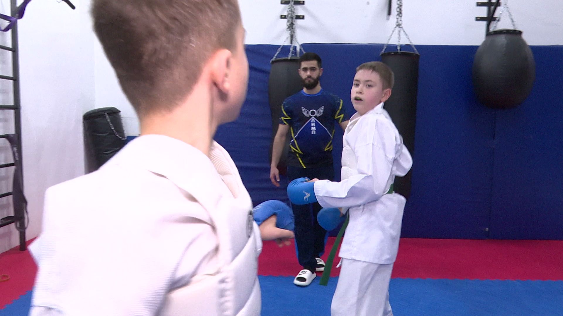 реутов, вертикалки, спорт, карате,