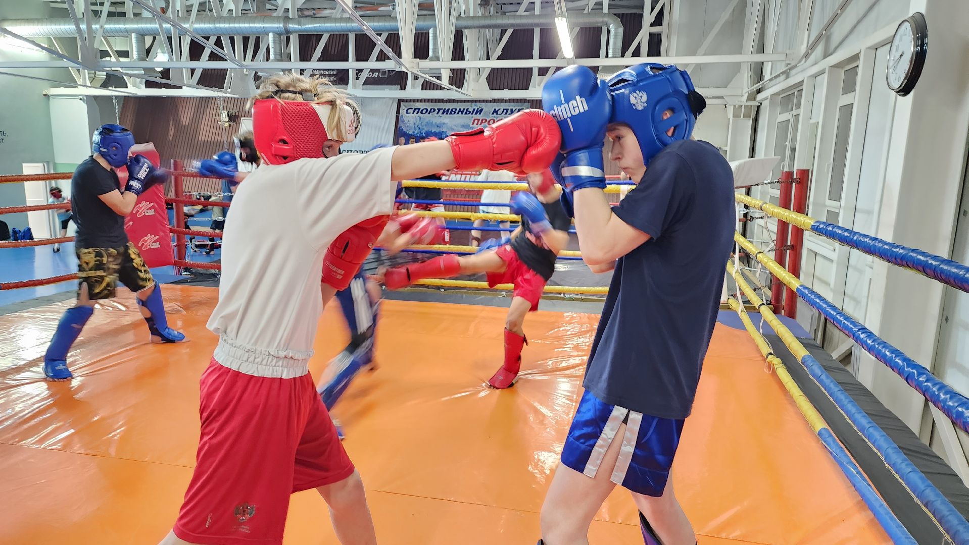 истра, спорт, кикбоксинг, чемпионат мира,