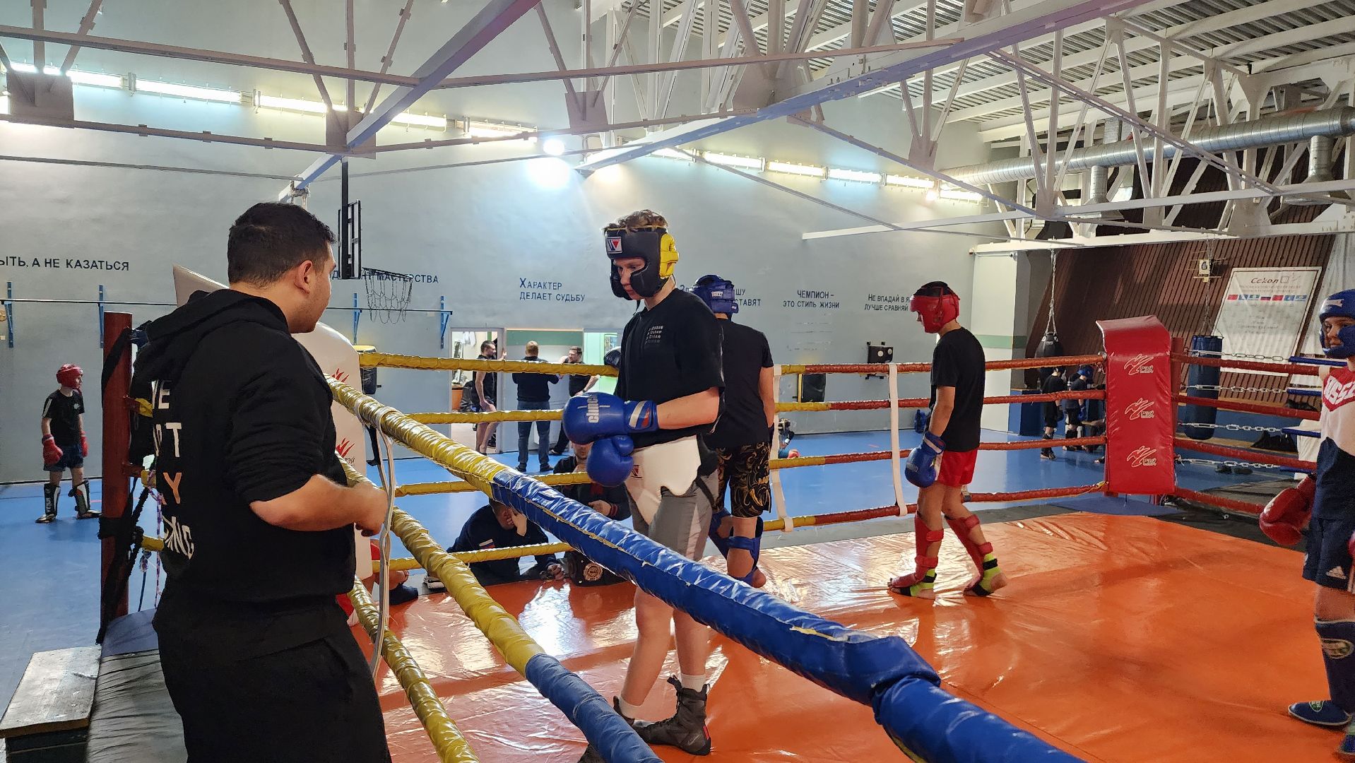 истра, спорт, кикбоксинг, чемпионат мира,