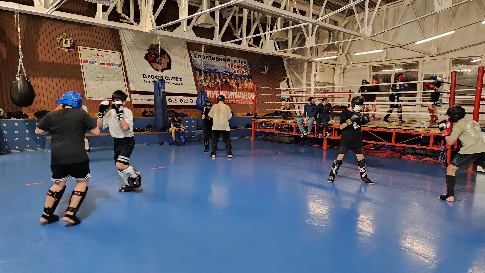 истра, спорт, кикбоксинг, чемпионат мира,