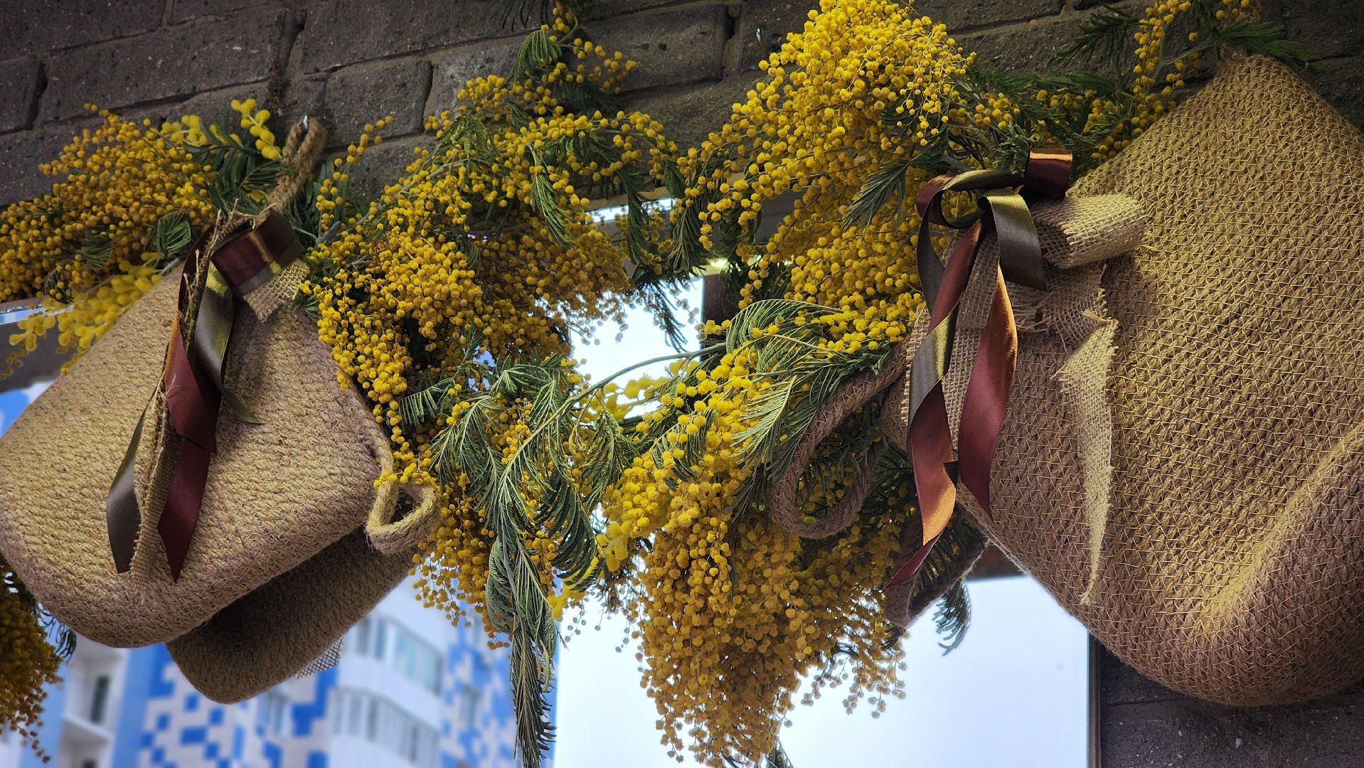 8 марта, Международный женский день, цветы, Лосино-Петровский, мимиоза,