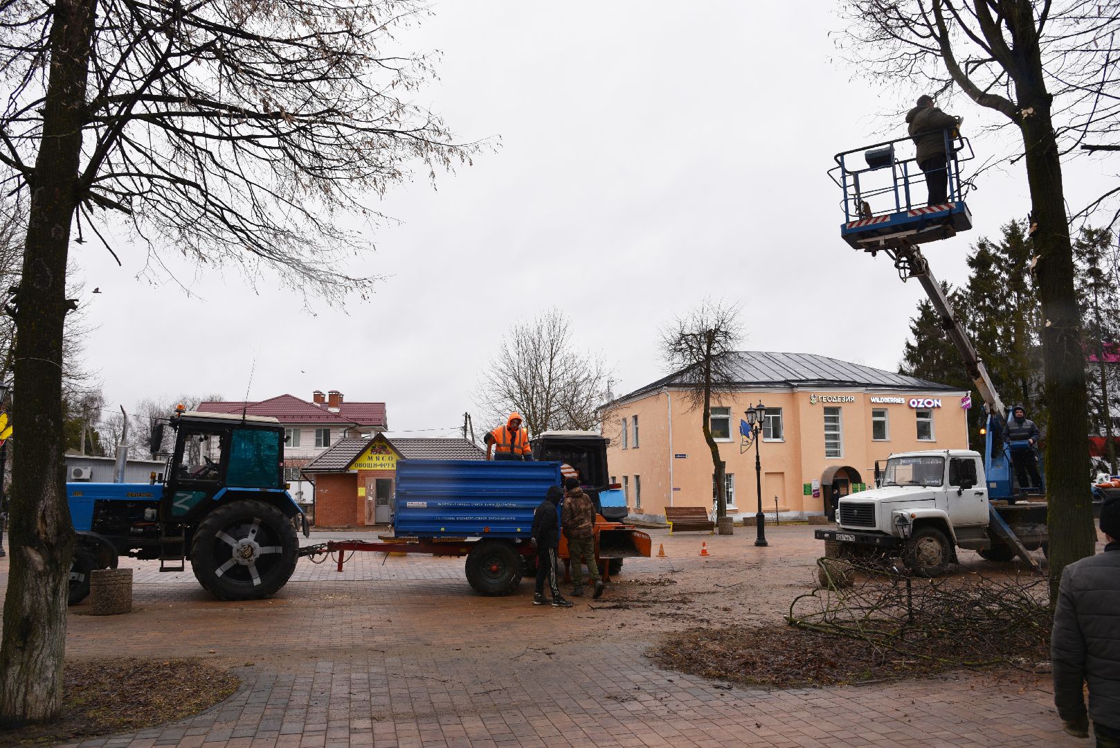лотошино, благоустройство, кронирование,