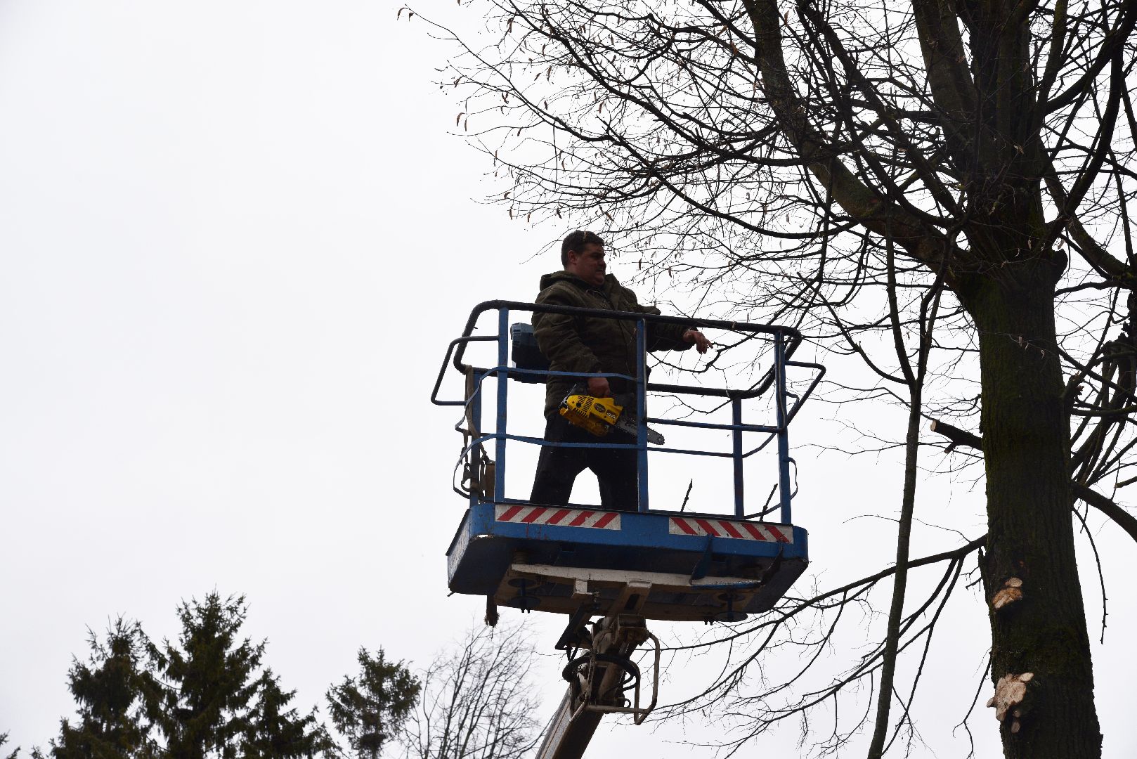 лотошино, благоустройство, кронирование,