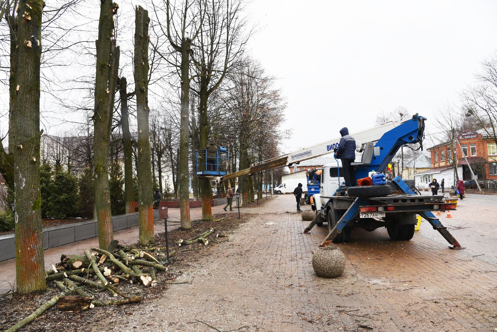 лотошино, благоустройство, кронирование,