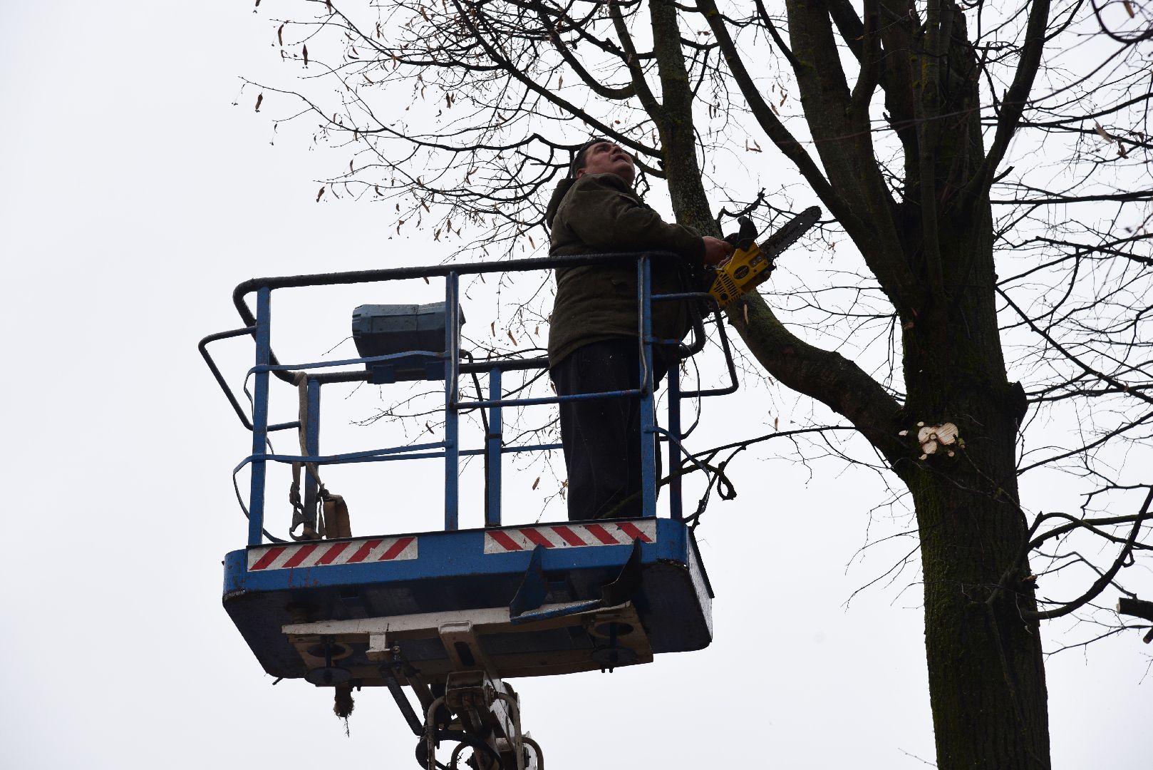 лотошино, благоустройство, кронирование,