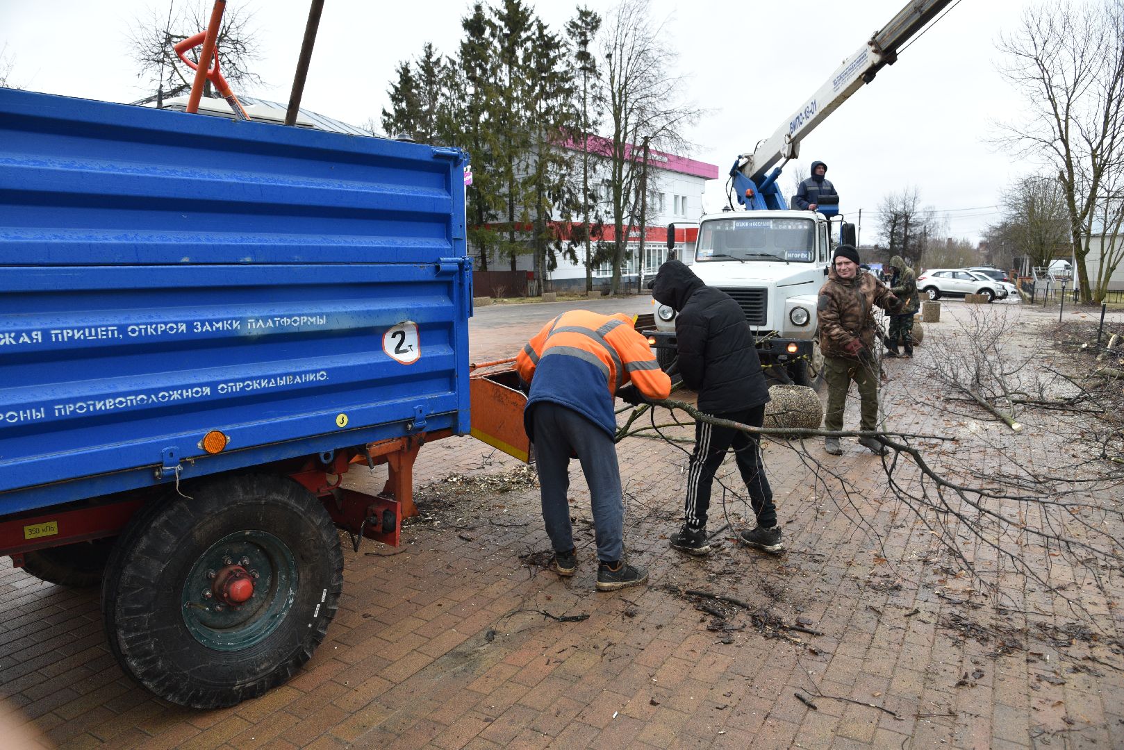 лотошино, благоустройство, кронирование,