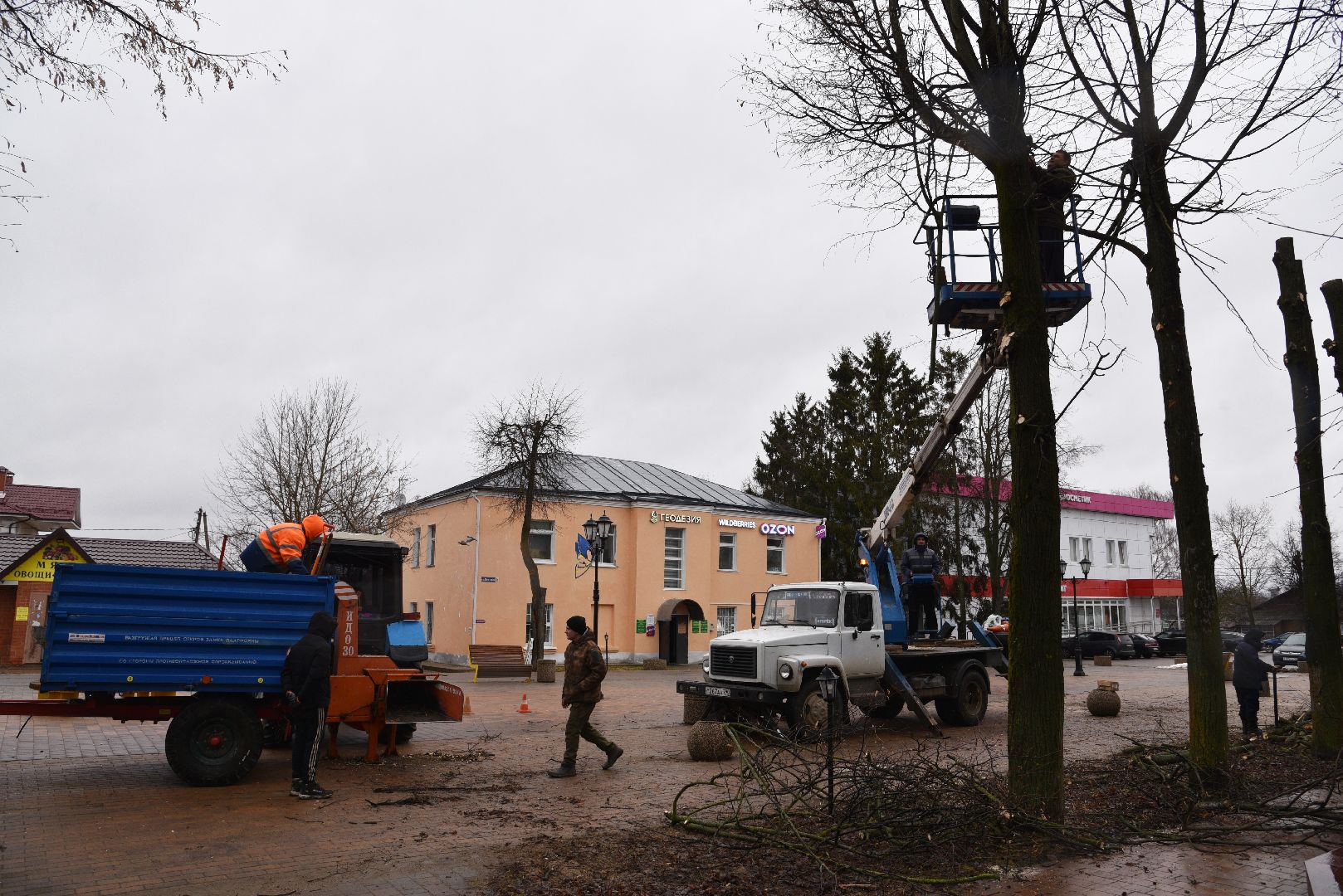 лотошино, благоустройство, кронирование,