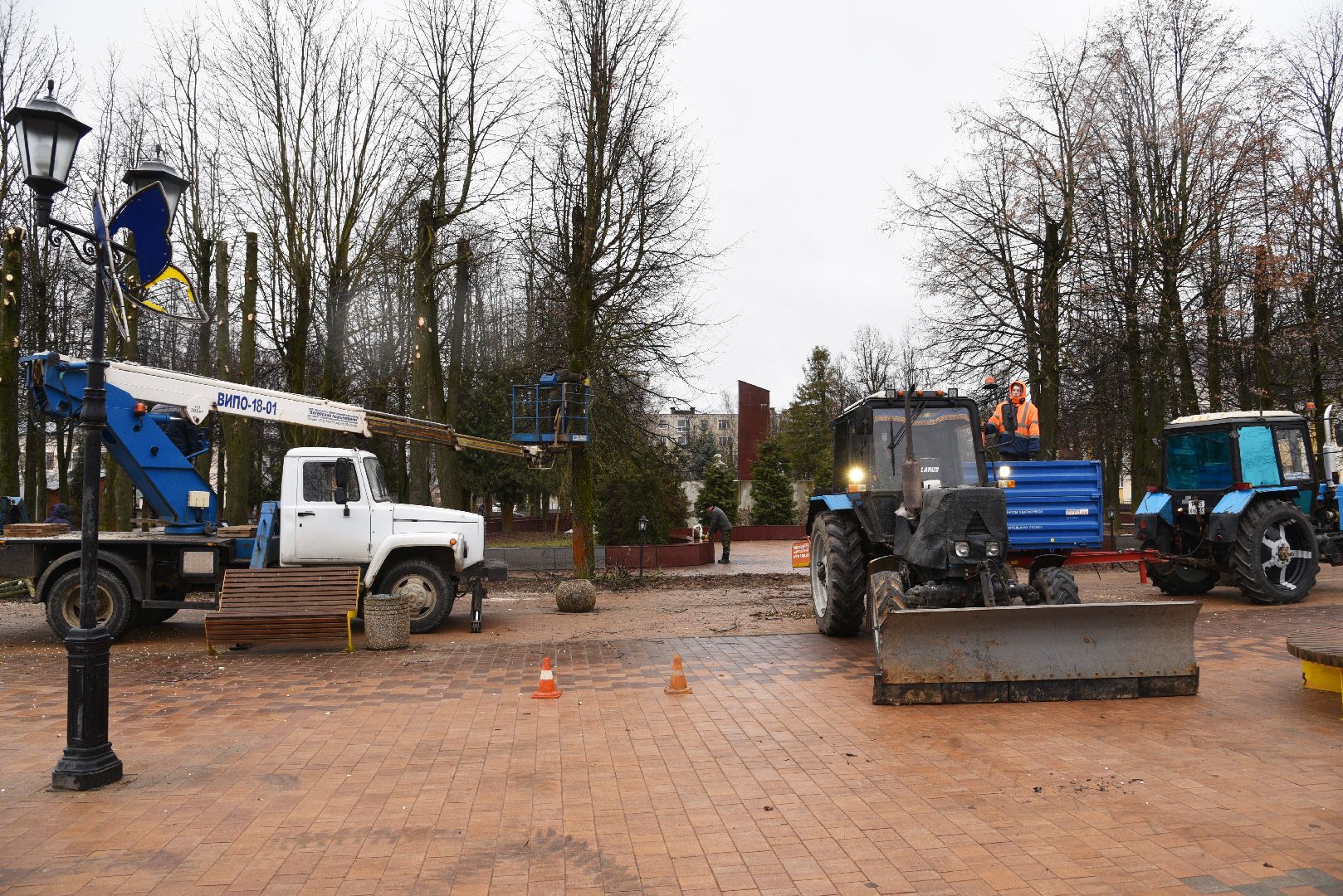 лотошино, благоустройство, кронирование,