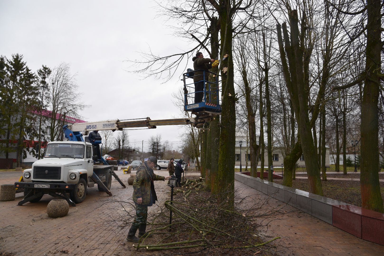 лотошино, благоустройство, кронирование,