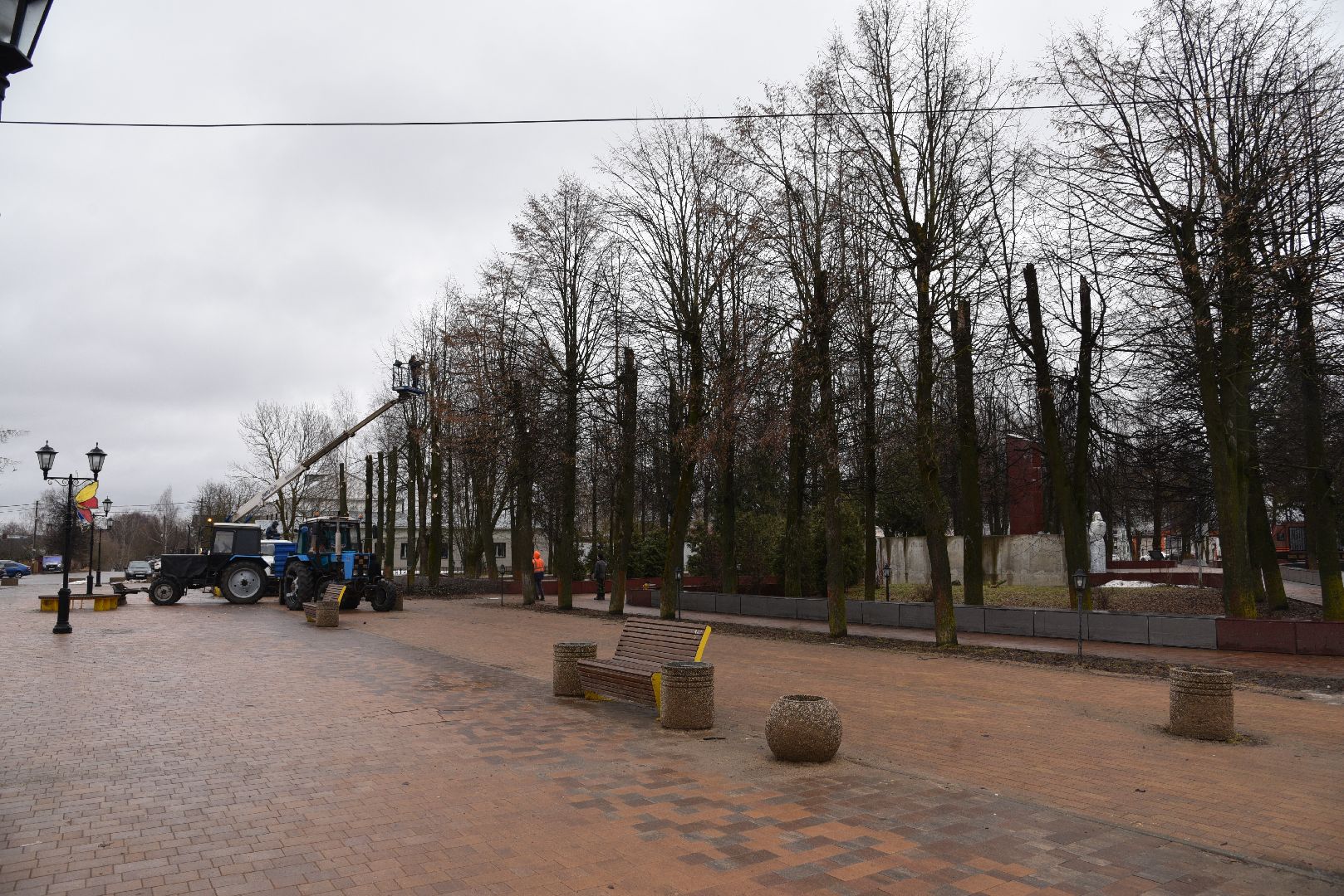 лотошино, благоустройство, кронирование,