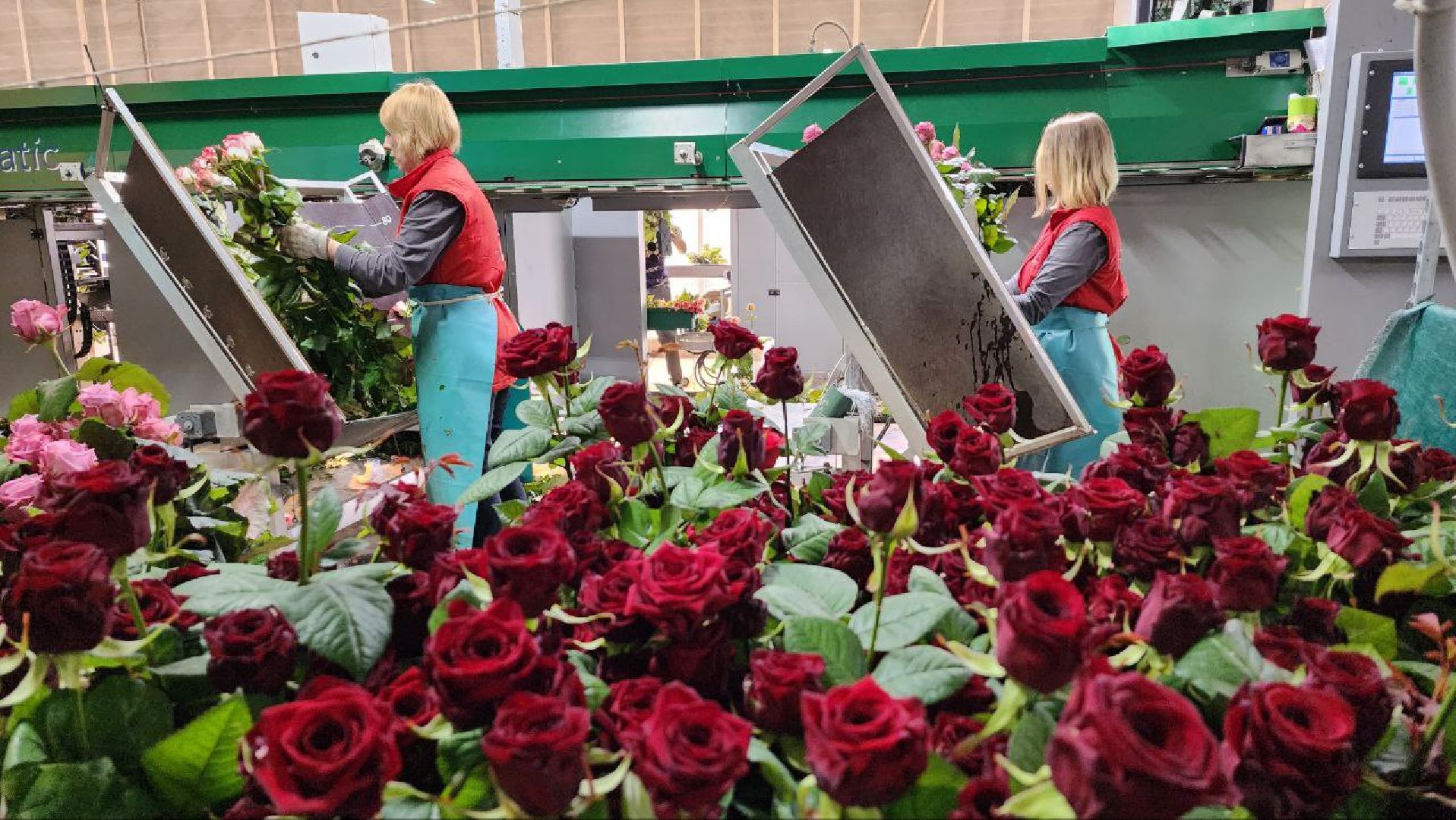 Дмитров, ТК Подосинки, Минсельхоз,