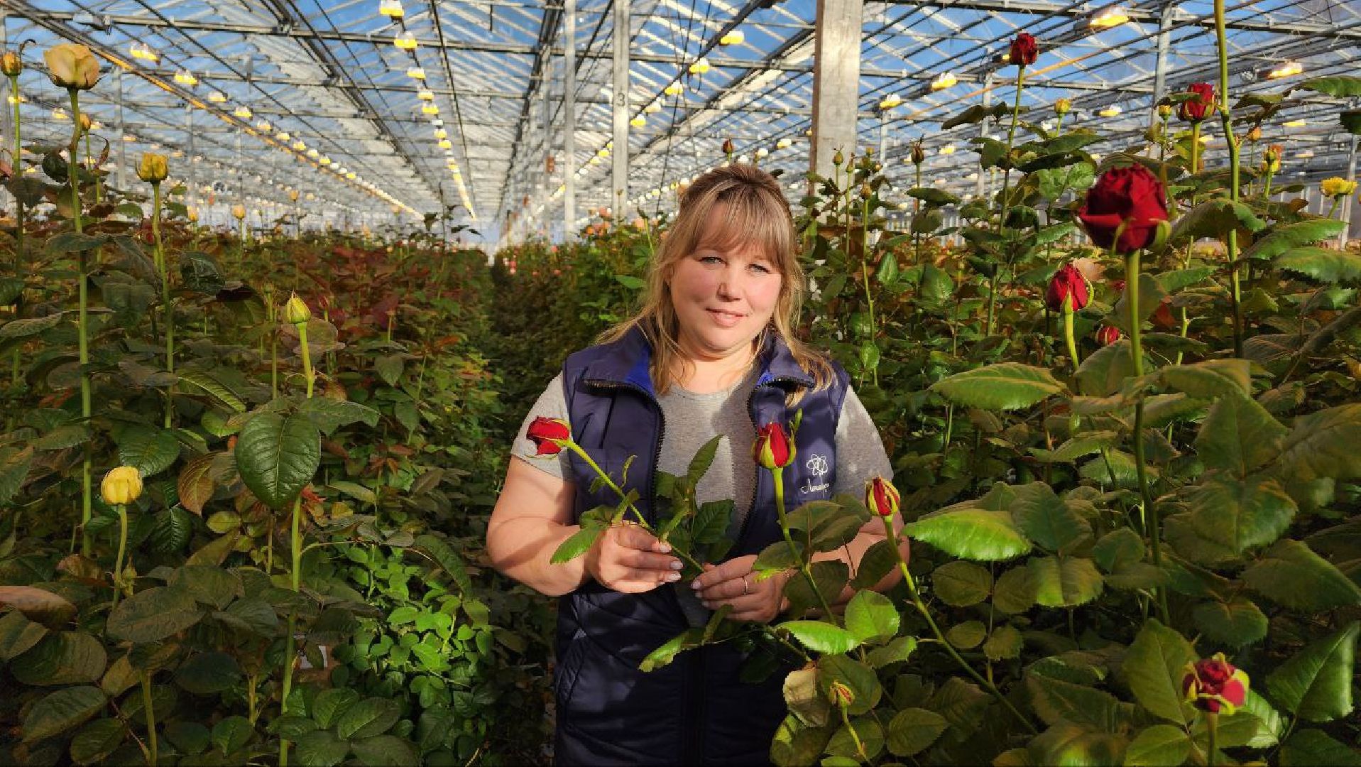 Дмитров, ТК Подосинки, Минсельхоз,