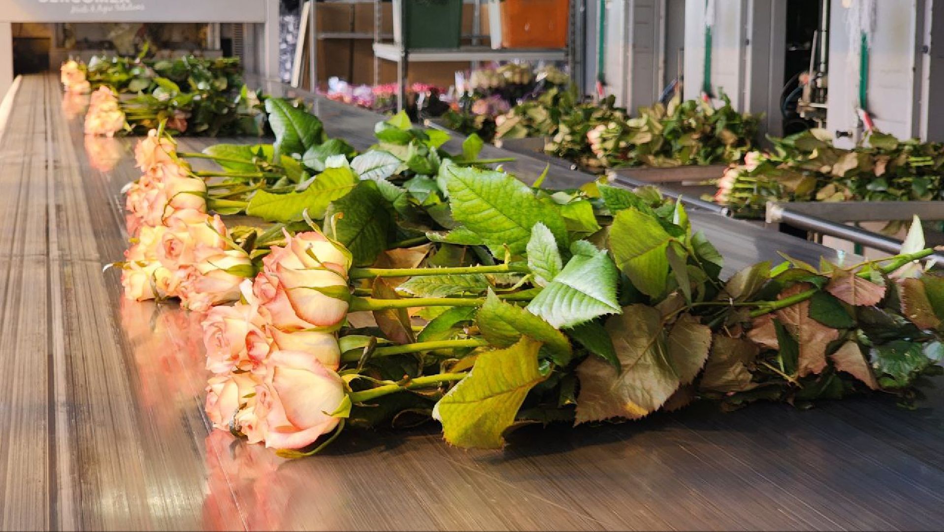 Дмитров, ТК Подосинки, Минсельхоз,