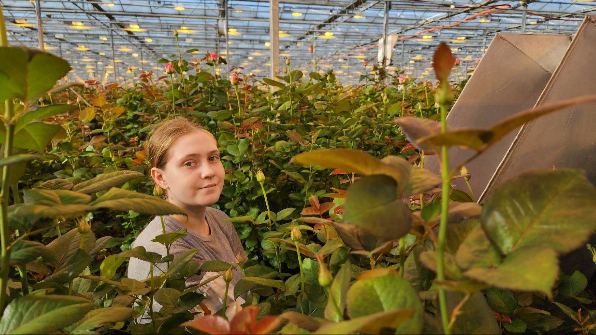 Дмитров, ТК Подосинки, Минсельхоз,