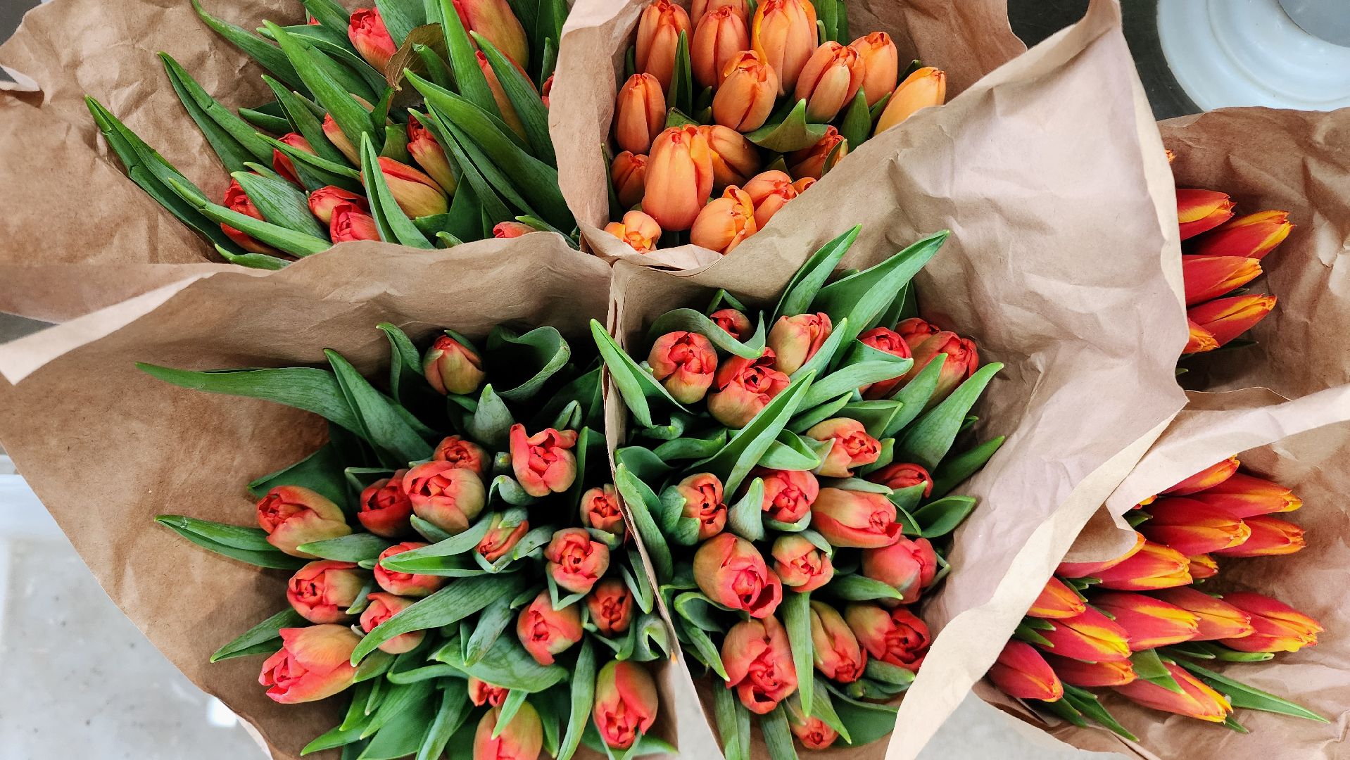 Бронницы, Цветы к 8 марта, Мужчины выбирают цветы,