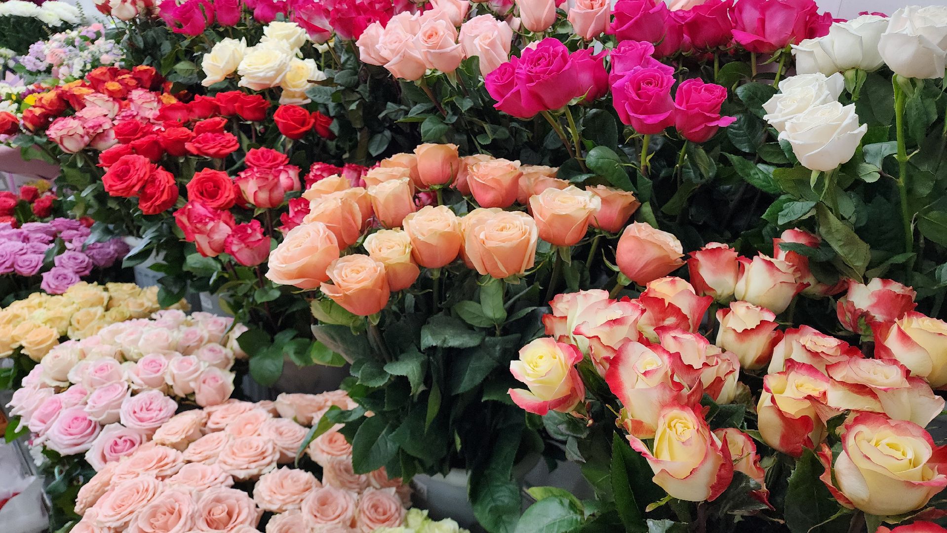 Бронницы, Цветы к 8 марта, Мужчины выбирают цветы,