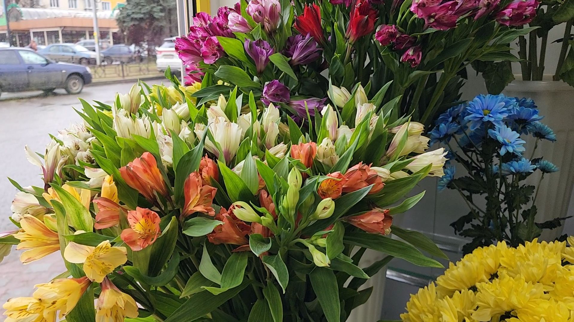 Бронницы, Цветы к 8 марта, Мужчины выбирают цветы,