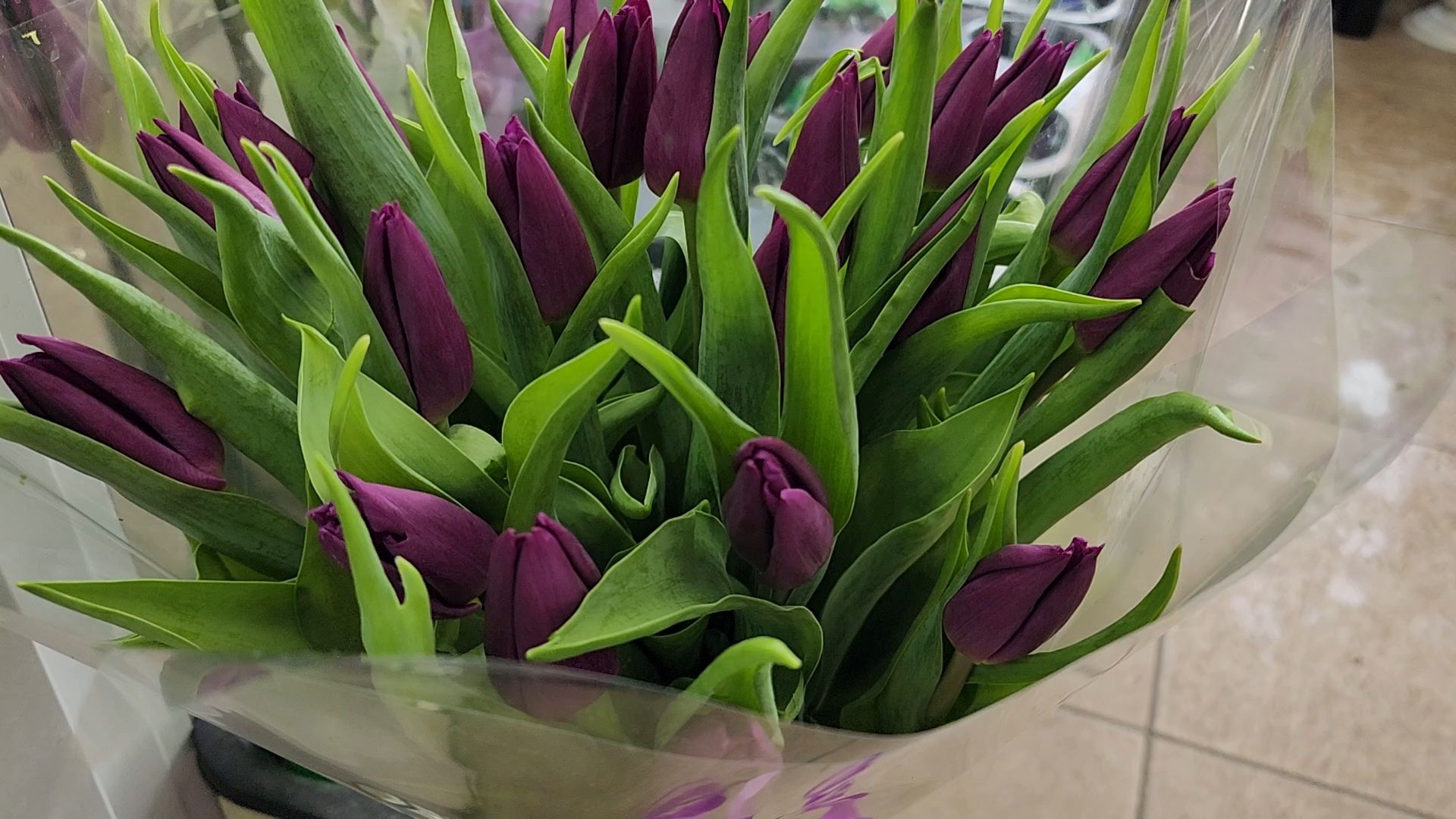 Бронницы, Цветы к 8 марта, Мужчины выбирают цветы,