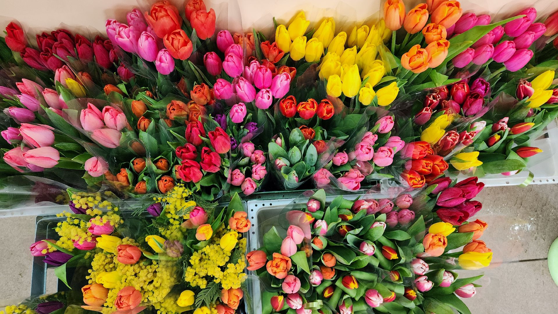 Бронницы, Цветы к 8 марта, Мужчины выбирают цветы,