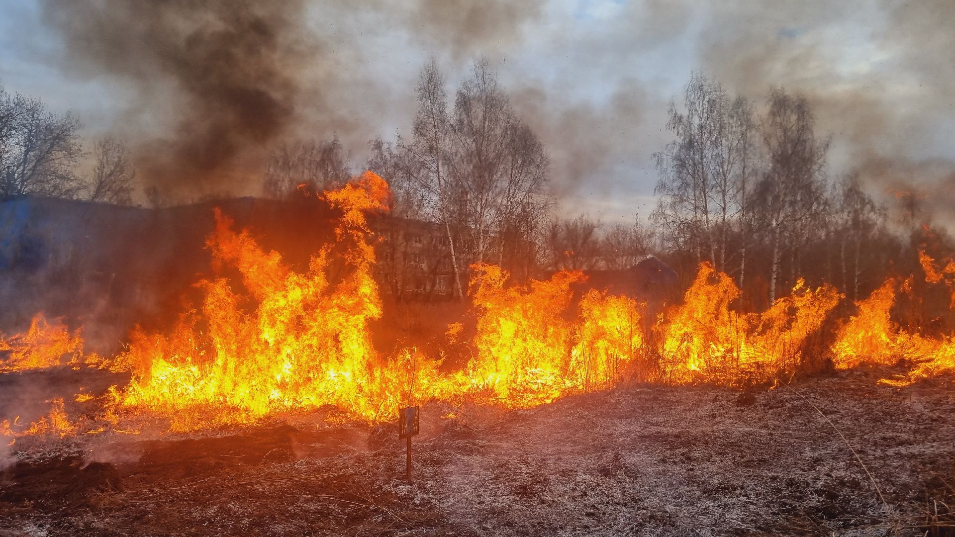 Подмосковье, Ивантеевка, МЧС, МВД, пал травы, пожароопасный сезон, ЧП