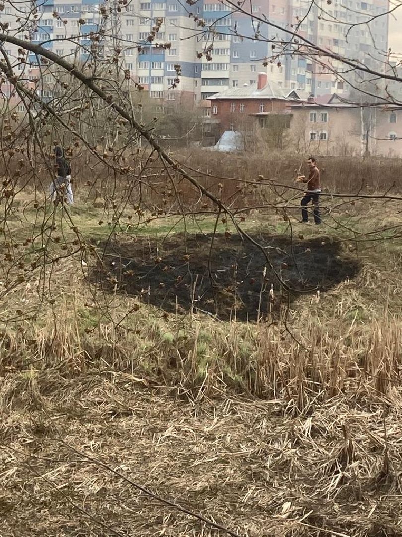 Подмосковье, Ивантеевка, МЧС, МВД, пал травы, пожароопасный сезон, ЧП