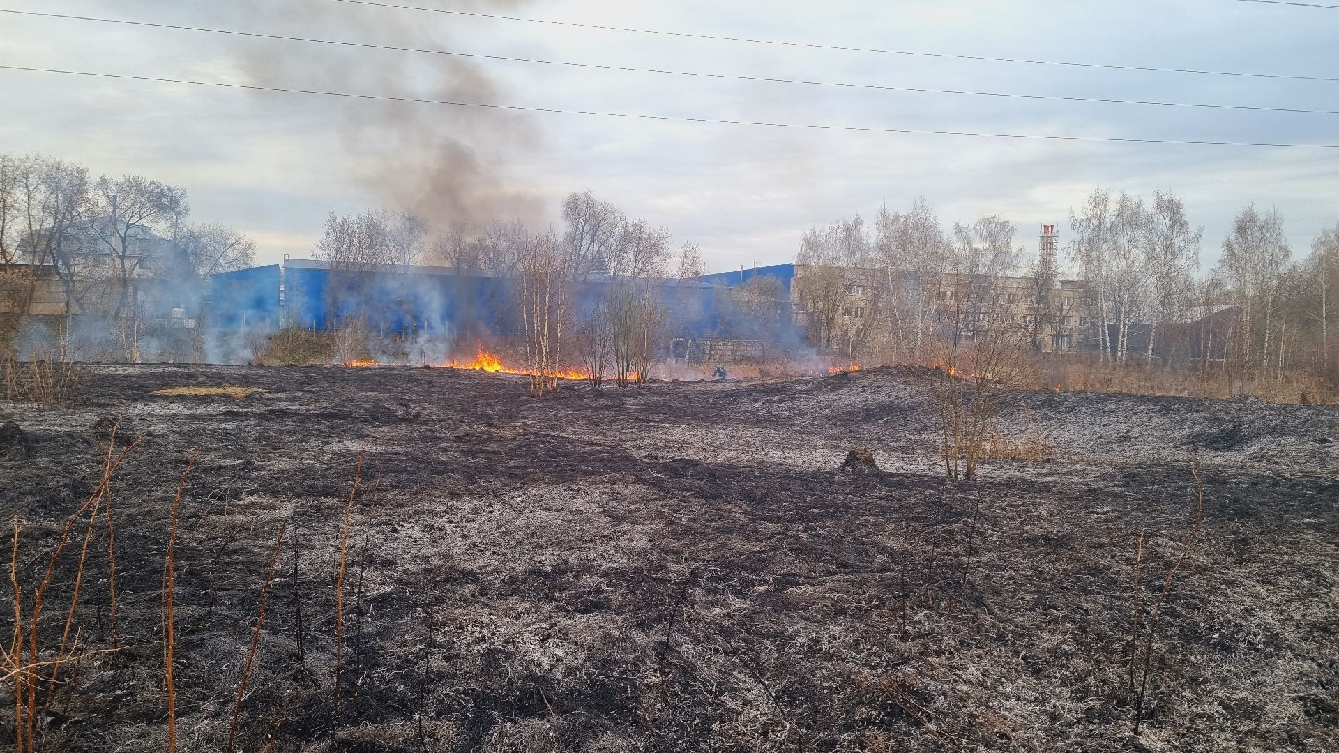 Подмосковье, Ивантеевка, МЧС, МВД, пал травы, пожароопасный сезон, ЧП