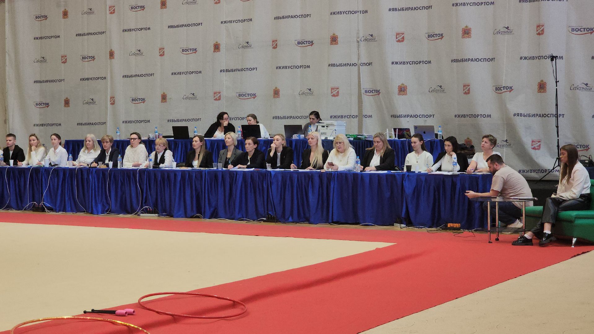 художественная гимнастика, спорт, орехово зуево,