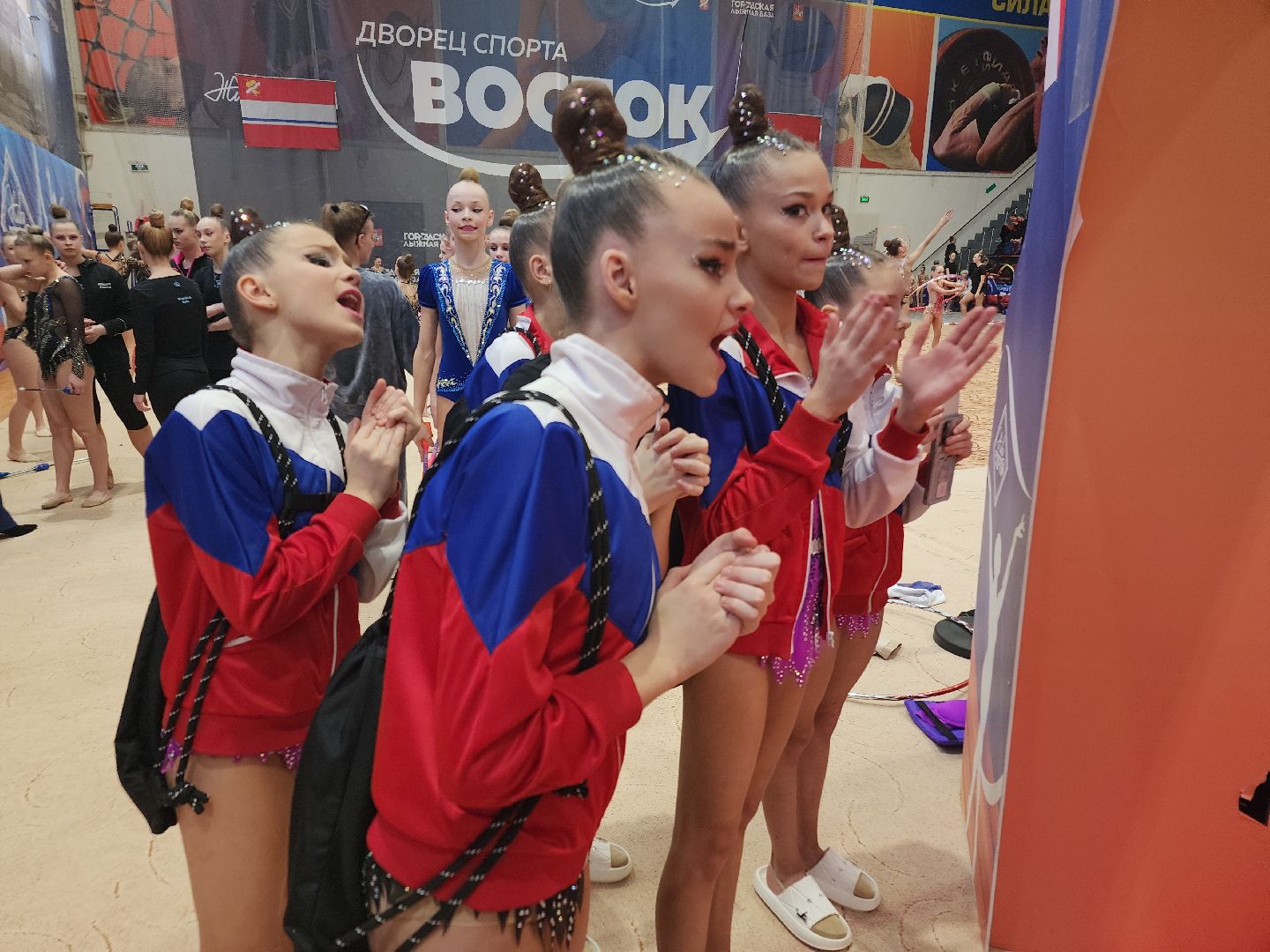 художественная гимнастика, спорт, орехово зуево,