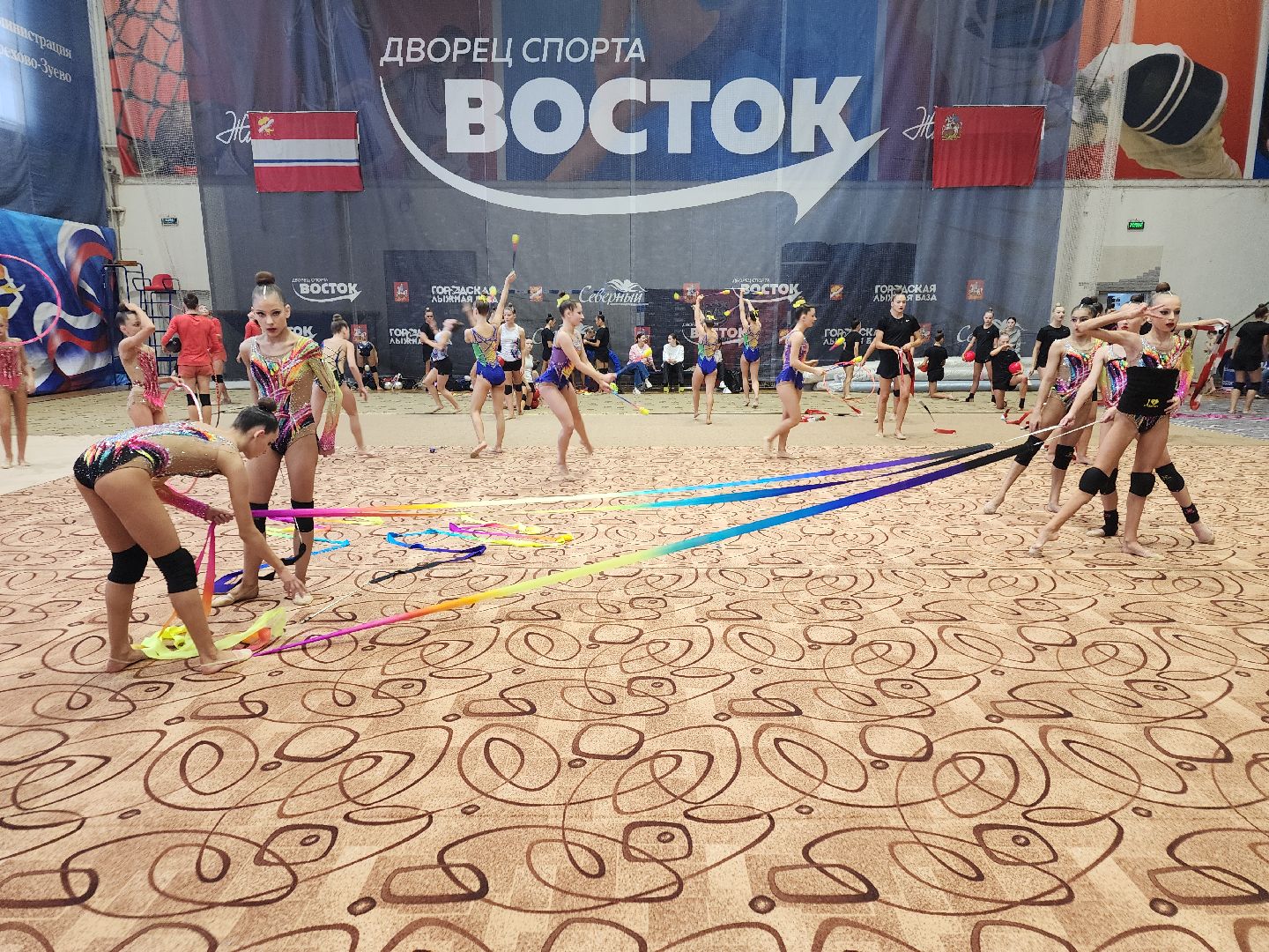 художественная гимнастика, спорт, орехово зуево,