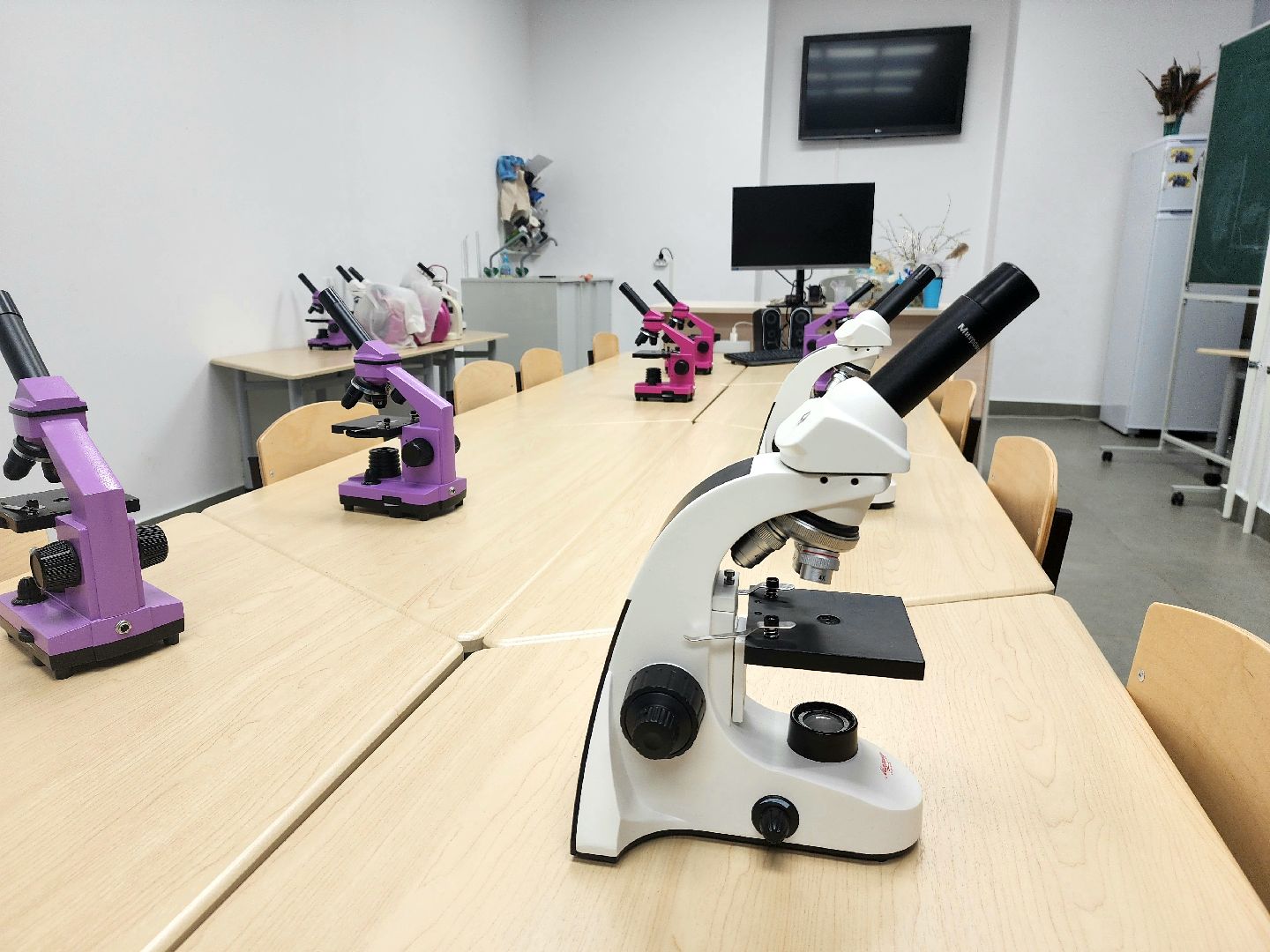 пущино, серпухов, образование, глава серпухова,