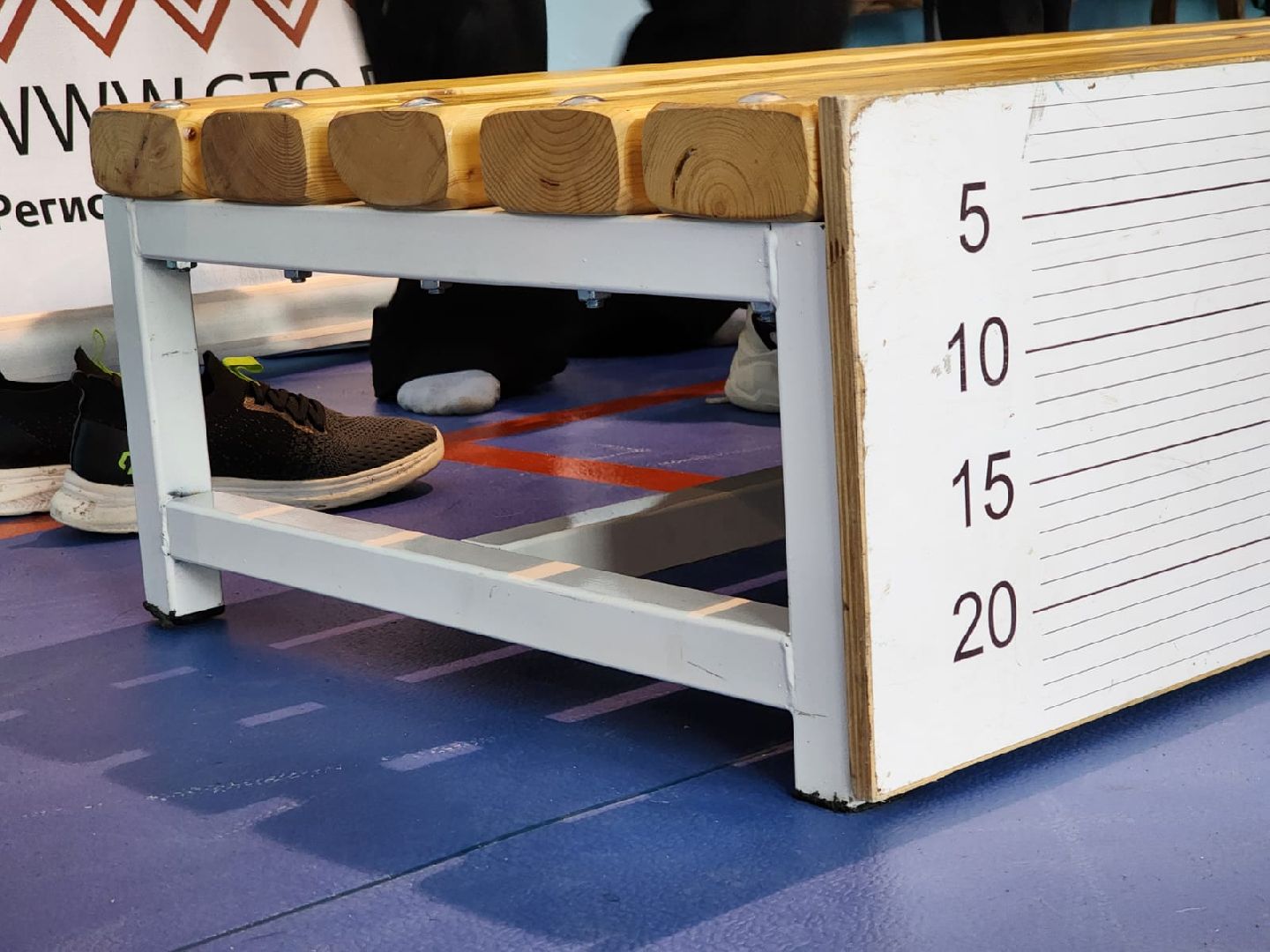 Луховицы, спорт, гто,