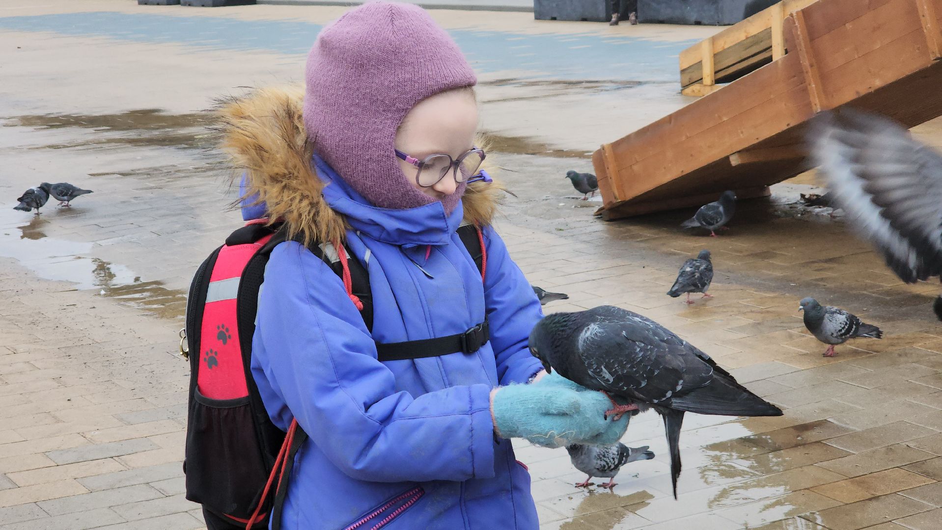 ступино, 8 марта, волонтеры,