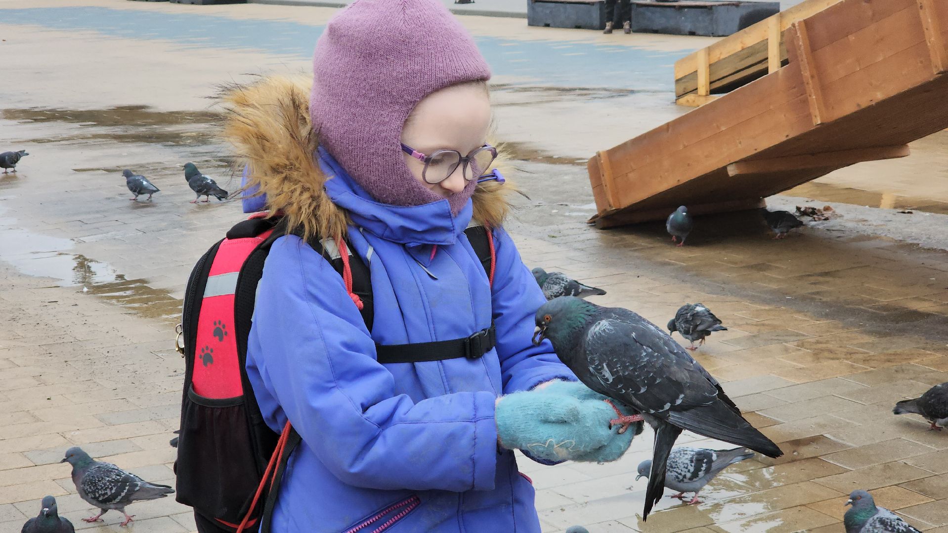 ступино, 8 марта, волонтеры,