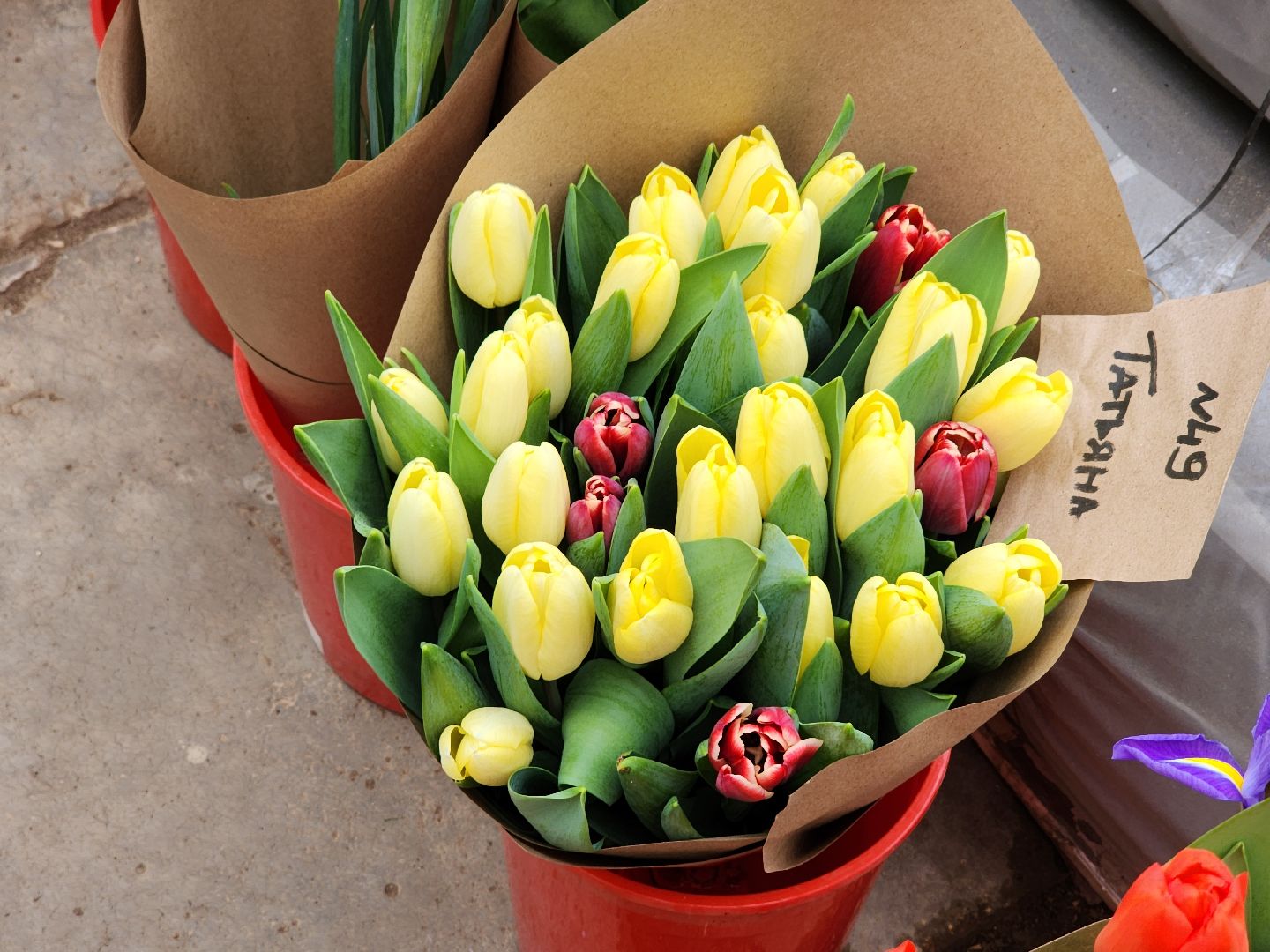 Тюльпаны, Наука, Теплица, Истра,8 марта,